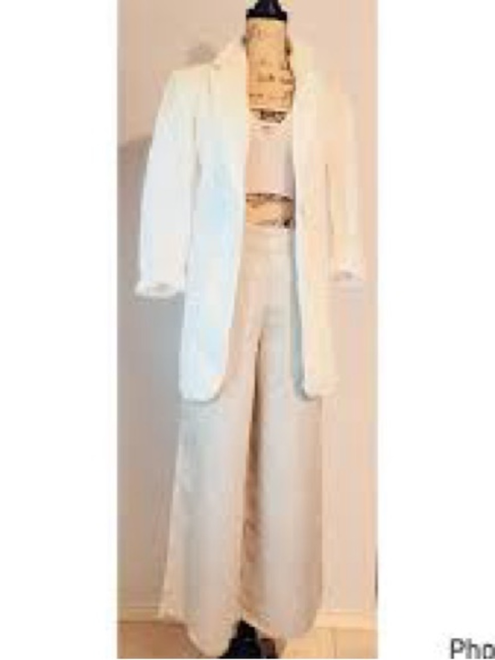 Rachel Zoe Metallic Linen NWT M Wide-Leg Pants